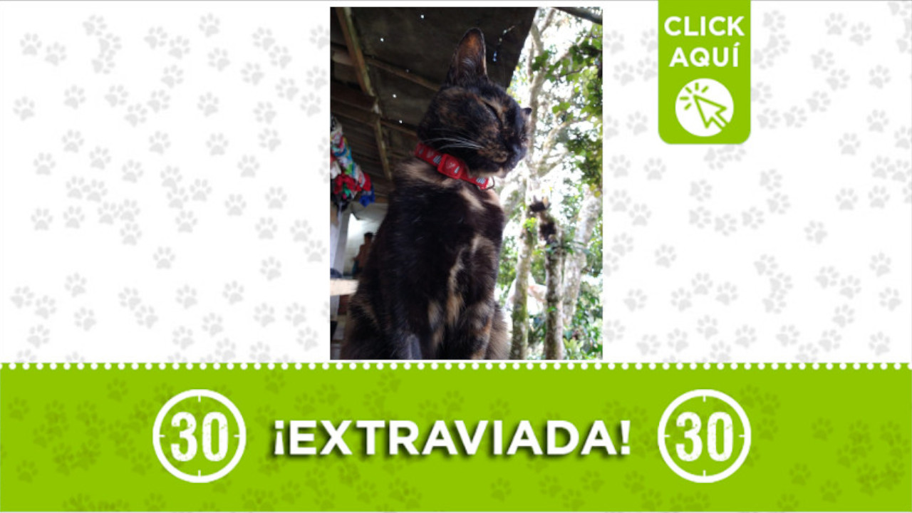 Lili se perdió en el barrio Pablo Escobar