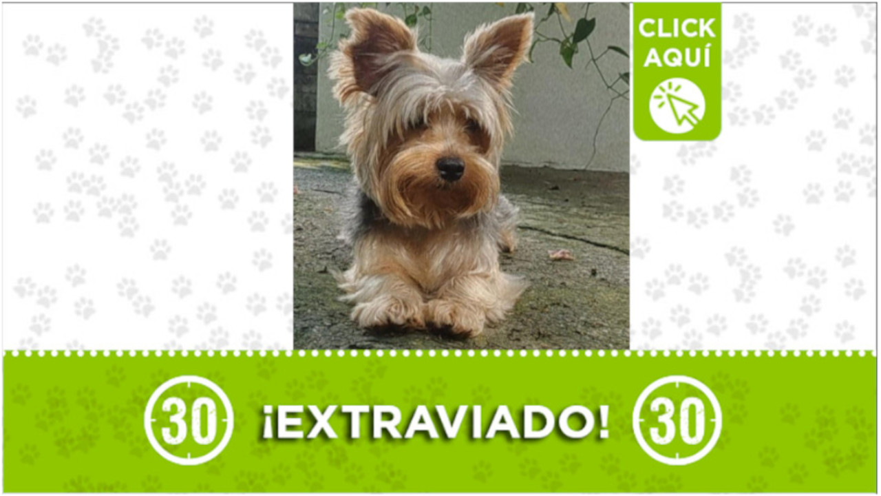 Martín Emilio se perdió en la Variante