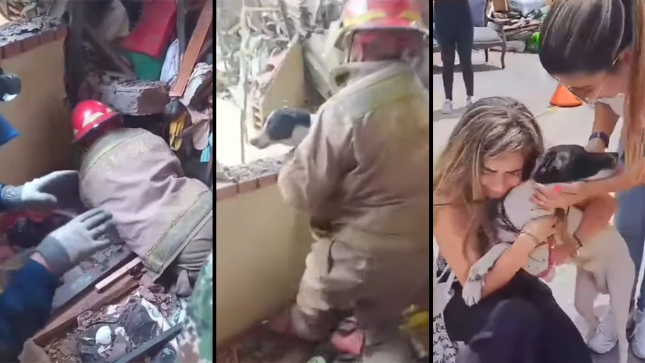 Bomberos de Rionegro rescataron a una perrita de la explosión