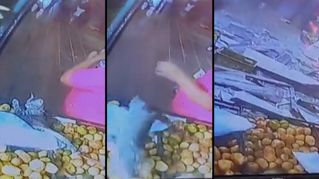 Gato avisó que techo se caería por aguacero en La Minorista