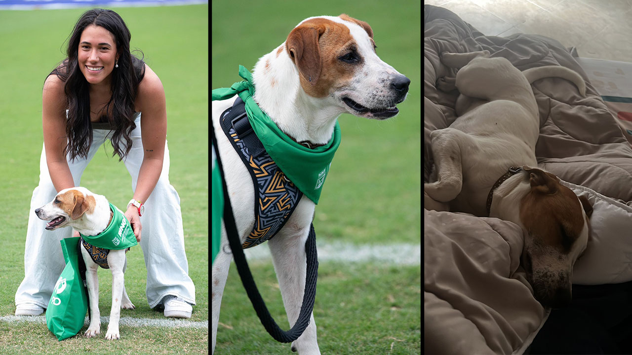 Vanessa Córdoba, adoptante de lujo