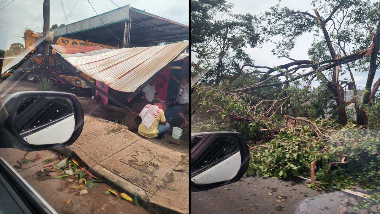 Vendaval en Caucasia afectó a más de 408 familias Gobernación y Dagran atienden la emergencia