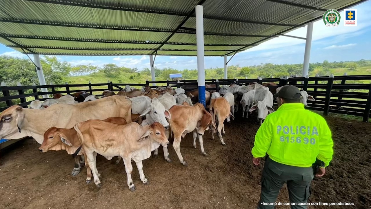 presunta red testaferros del Clan del Golfo