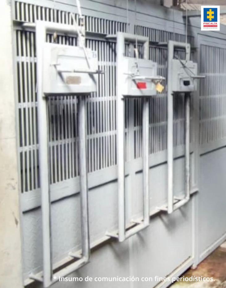 Judicializaron a empleado de bioparque en Pereira, que habría permitido que dos chimpancés escaparan