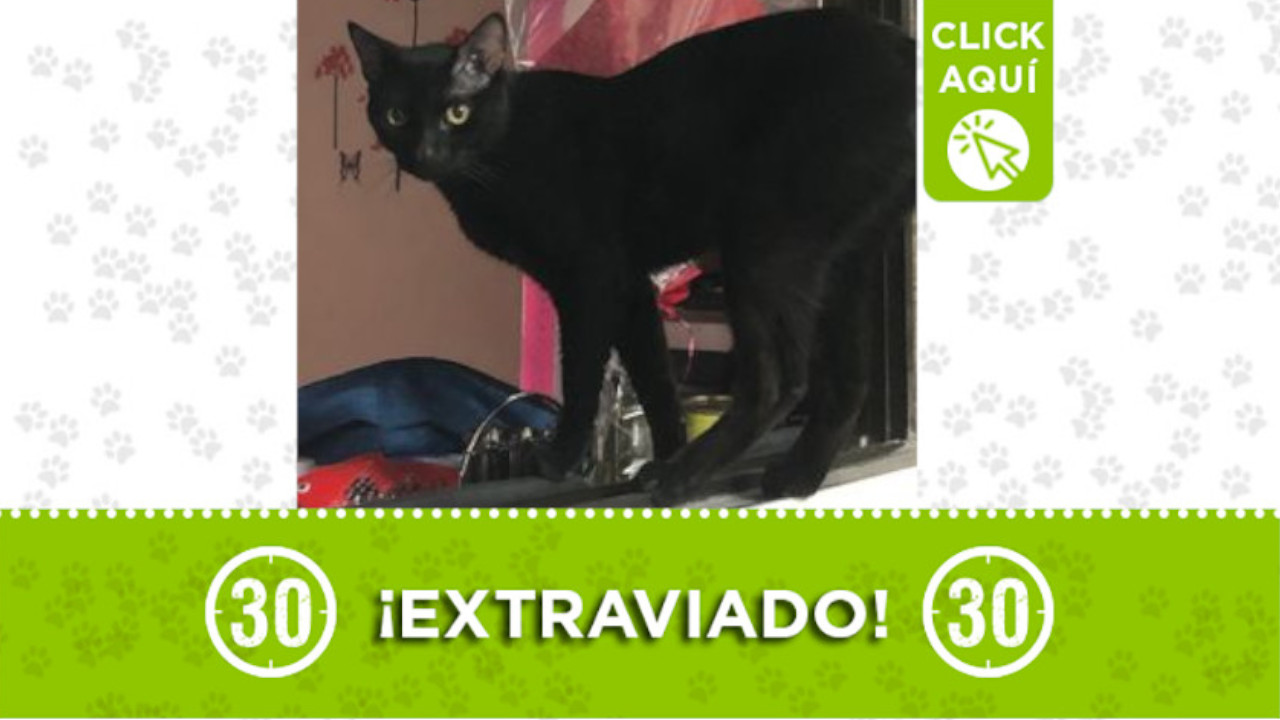 ‘Berlín’ se extravió por el Jardín Botánico de Medellín