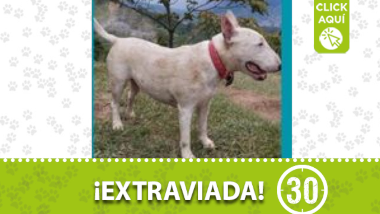 Se perdió ‘Kiara’