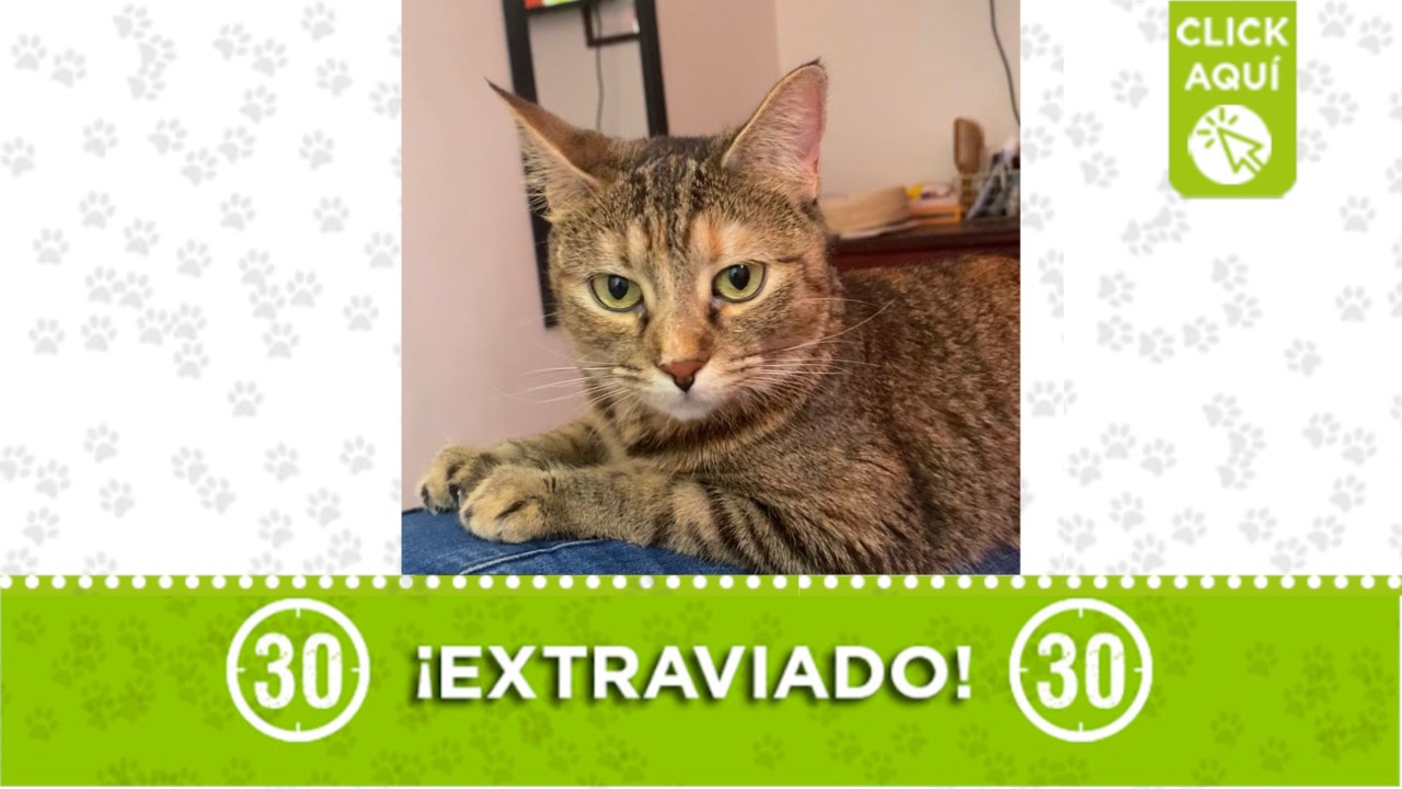 martina extraviada en guayabal