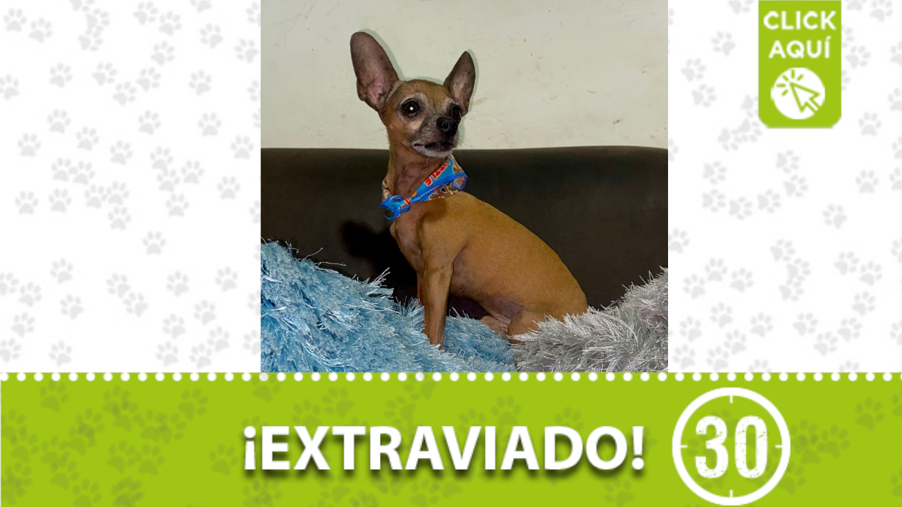 ‘Samir’ se perdió