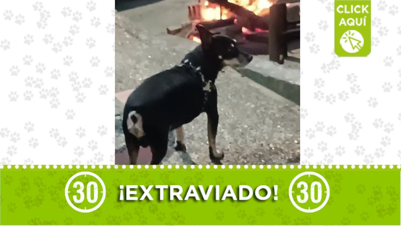 pool perdido en enciso