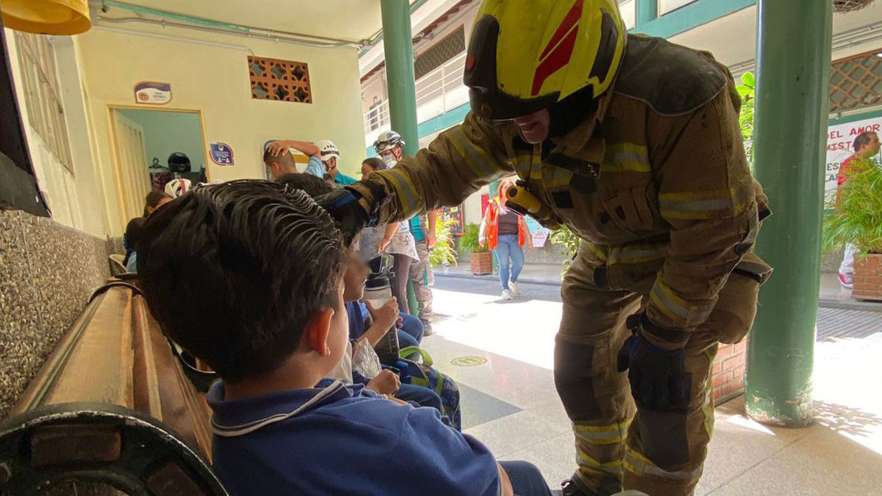 Ataque de abejas en Medellín dejó 13 estudiantes afectados y tres adultos