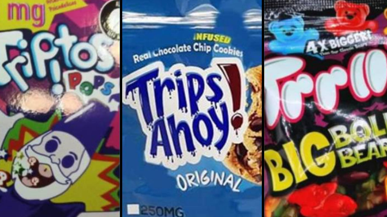 Dulces sin permisos legales serán distribuidos en Halloween