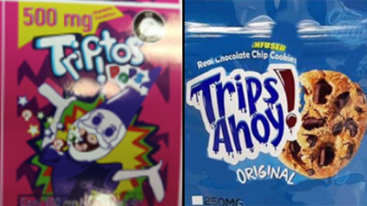 Dulces sin permisos legales serán distribuidos en Halloween