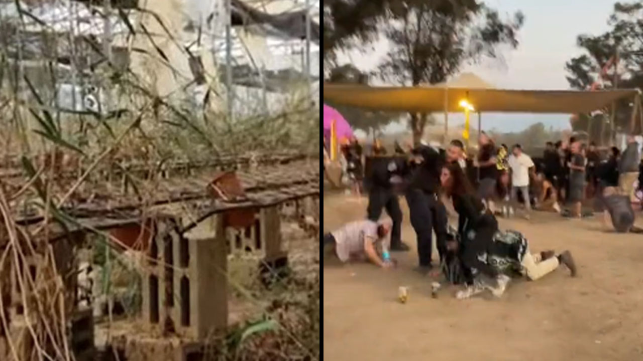 Colombiana sobrevivió a la masacre en fiesta electrónica de Israel