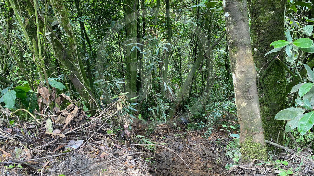 En Caldas un hombre salió a comprar un cigarrillo y nunca volvió, una semana después apareció muerto