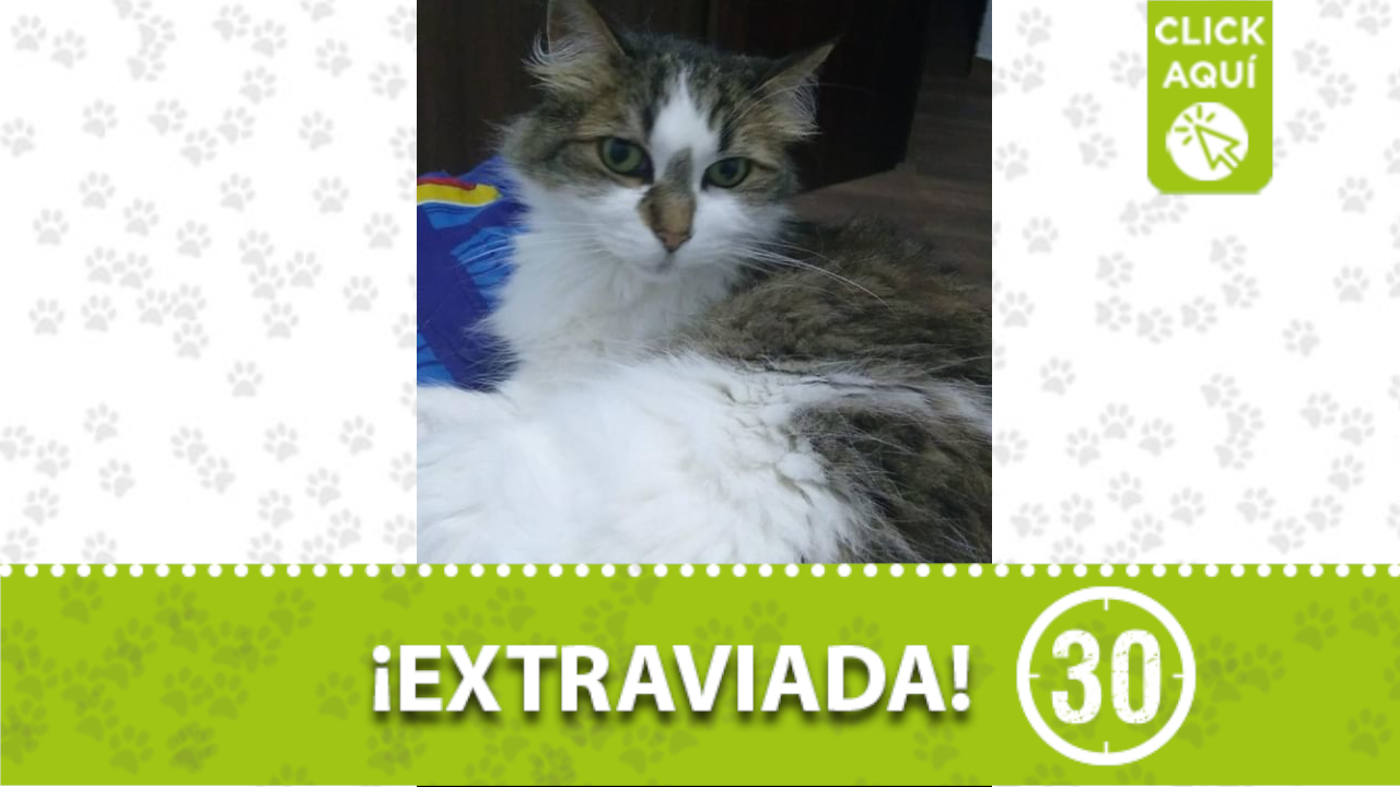 ‘Estrella’ se perdió en el municipio de La Estrella