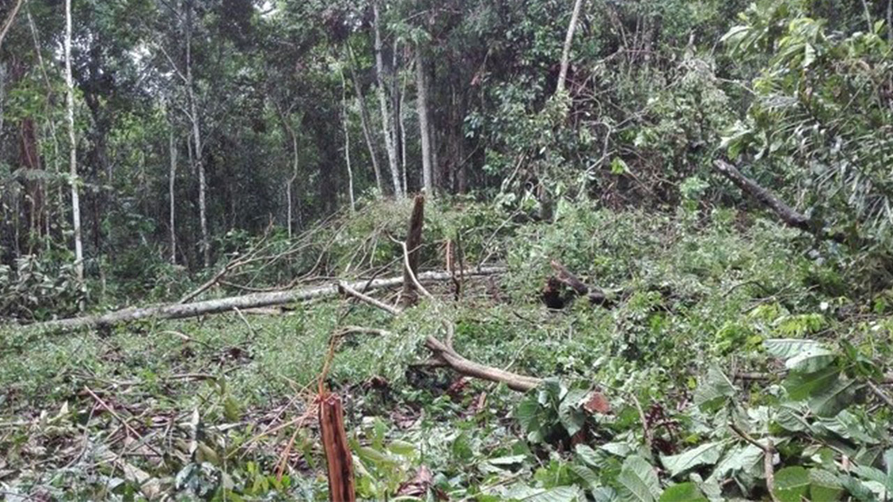 Excoronel de la Policía Nacional se encadenó en Plaza de Bolívar