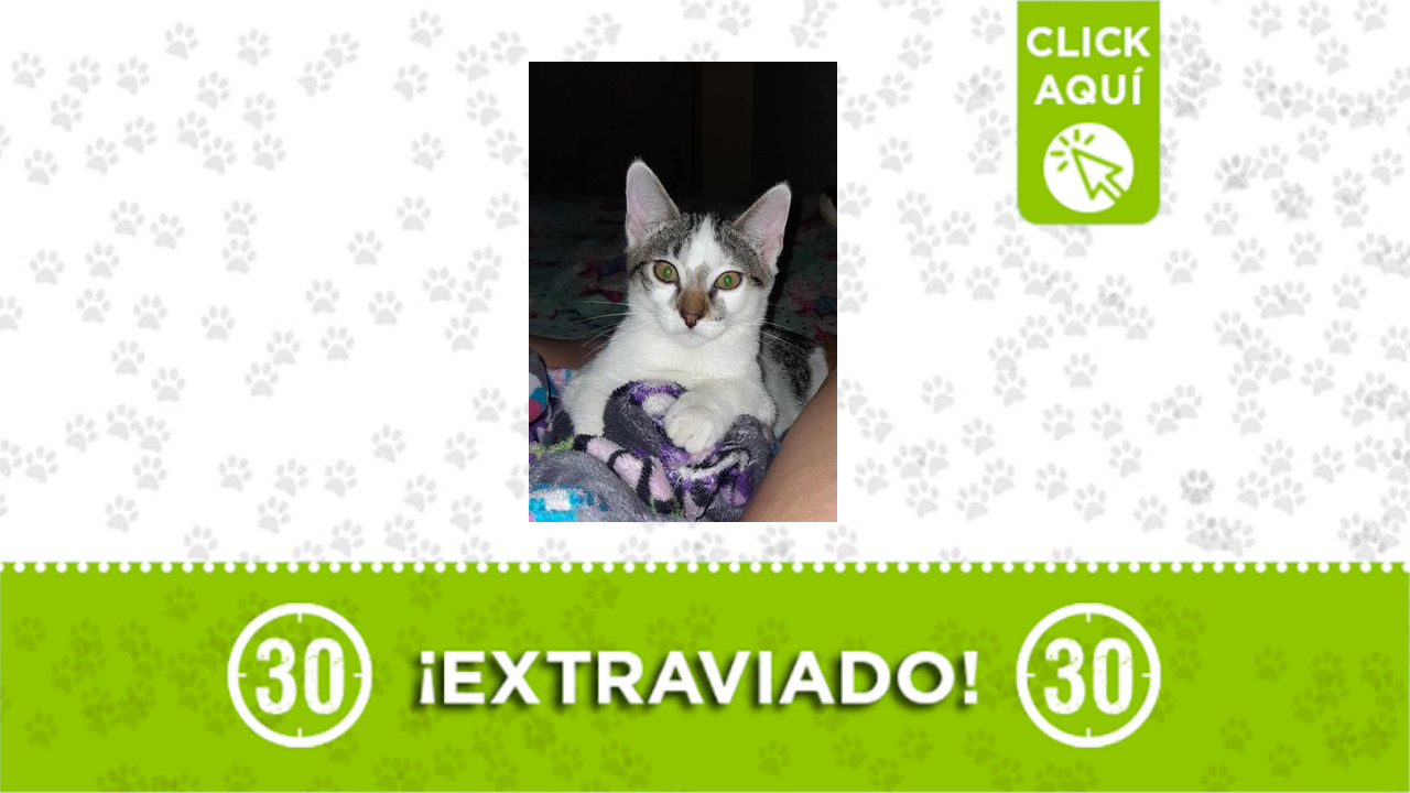 ‘Onix’ se perdió en Aranjuez San Isidro