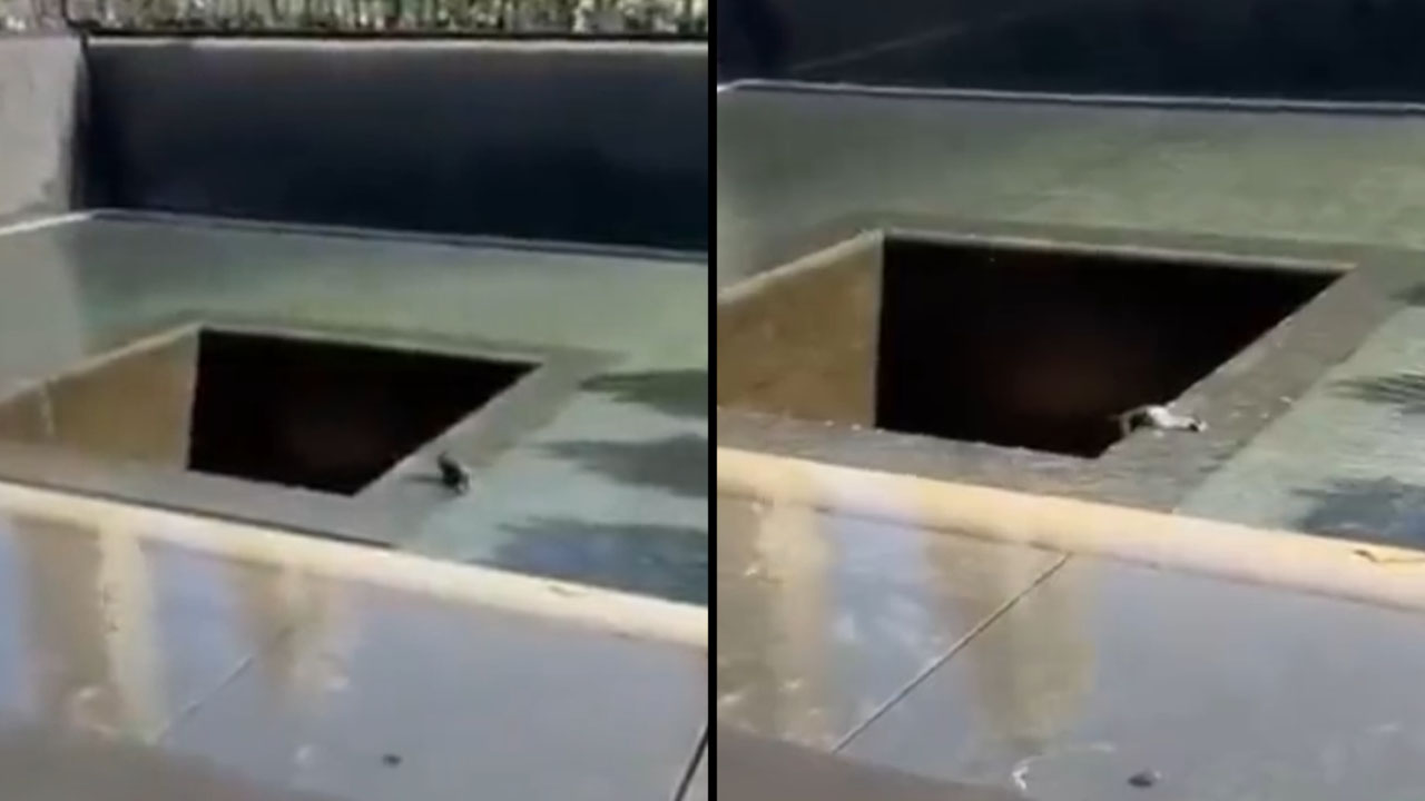 Hombre salta a fuente reflectiva de Memorial del 9/11