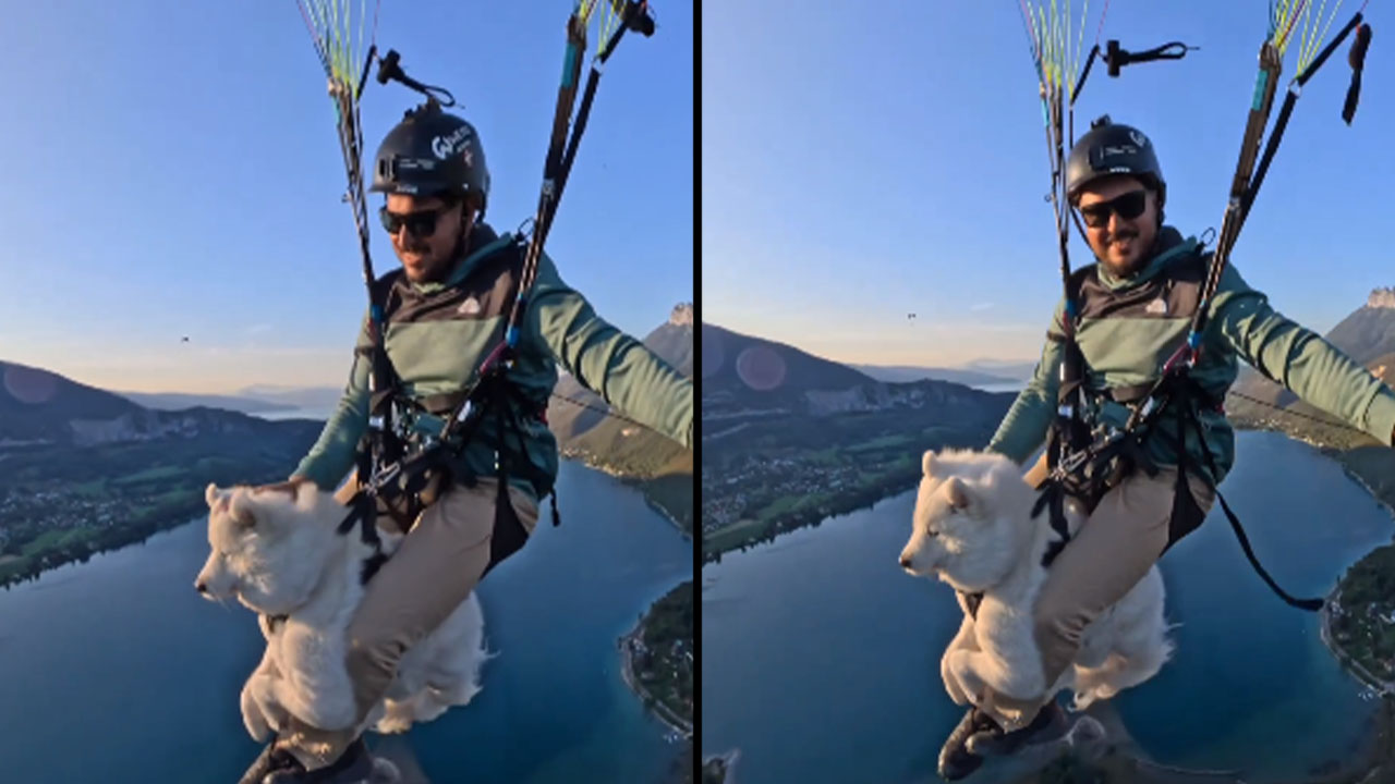 Joven se tiró en parapente con un perro, acción que causó críticas