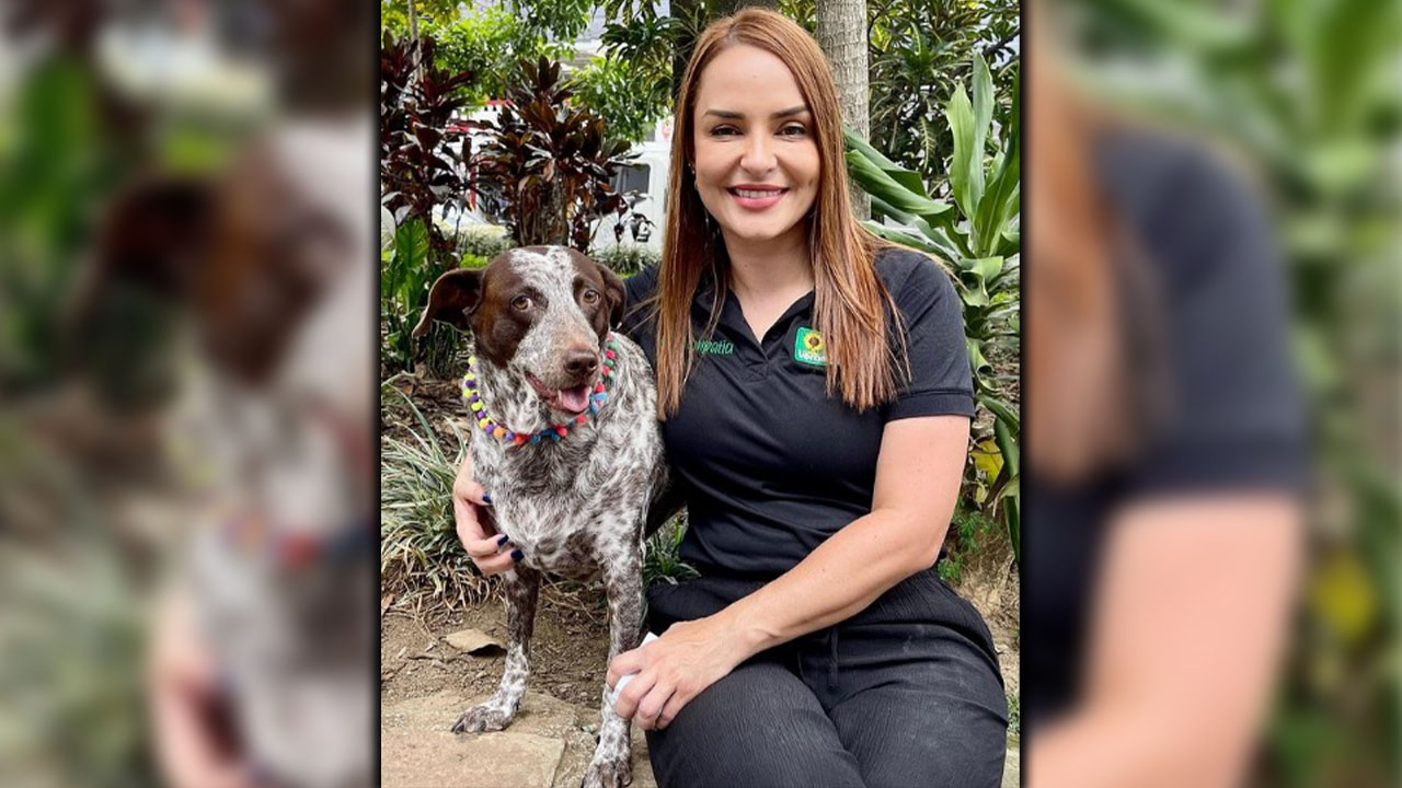 Le están haciendo conejo al programa de sustitución de vehículos de tracción animal de la Gobernación Juliana Álvarez