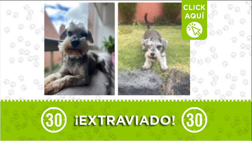 Lola se perdió en el Portal del Tunal