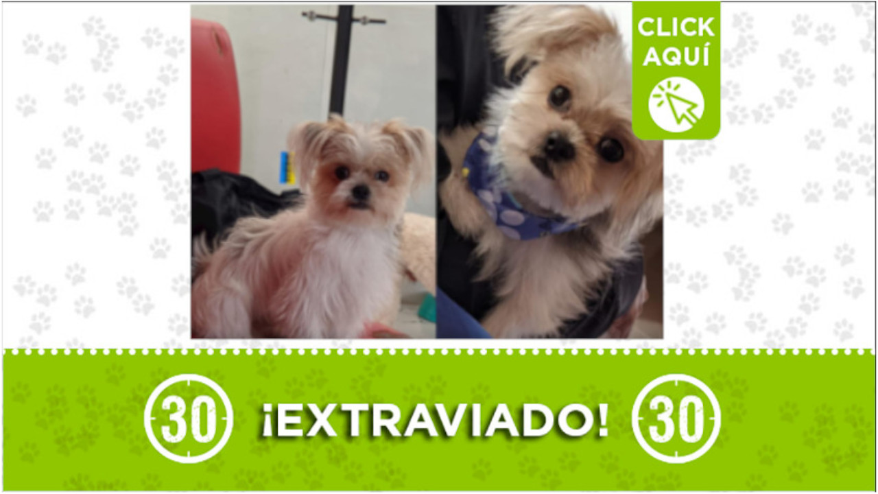 'Messi' se perdió en la Uva sol de Oriente