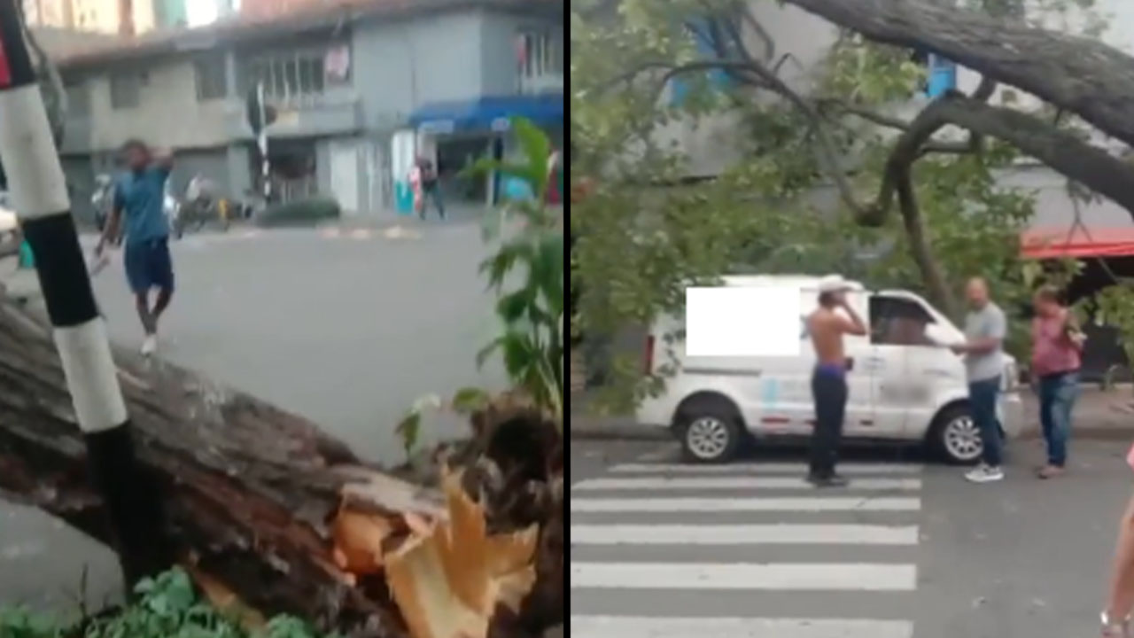 Movilidad reducida en el centro de Medellín por caída de árbol