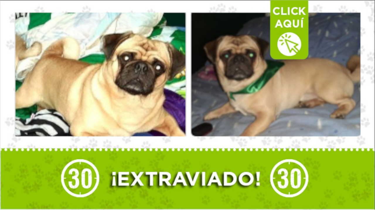 Tomás se perdió en el barrio Alfonso López