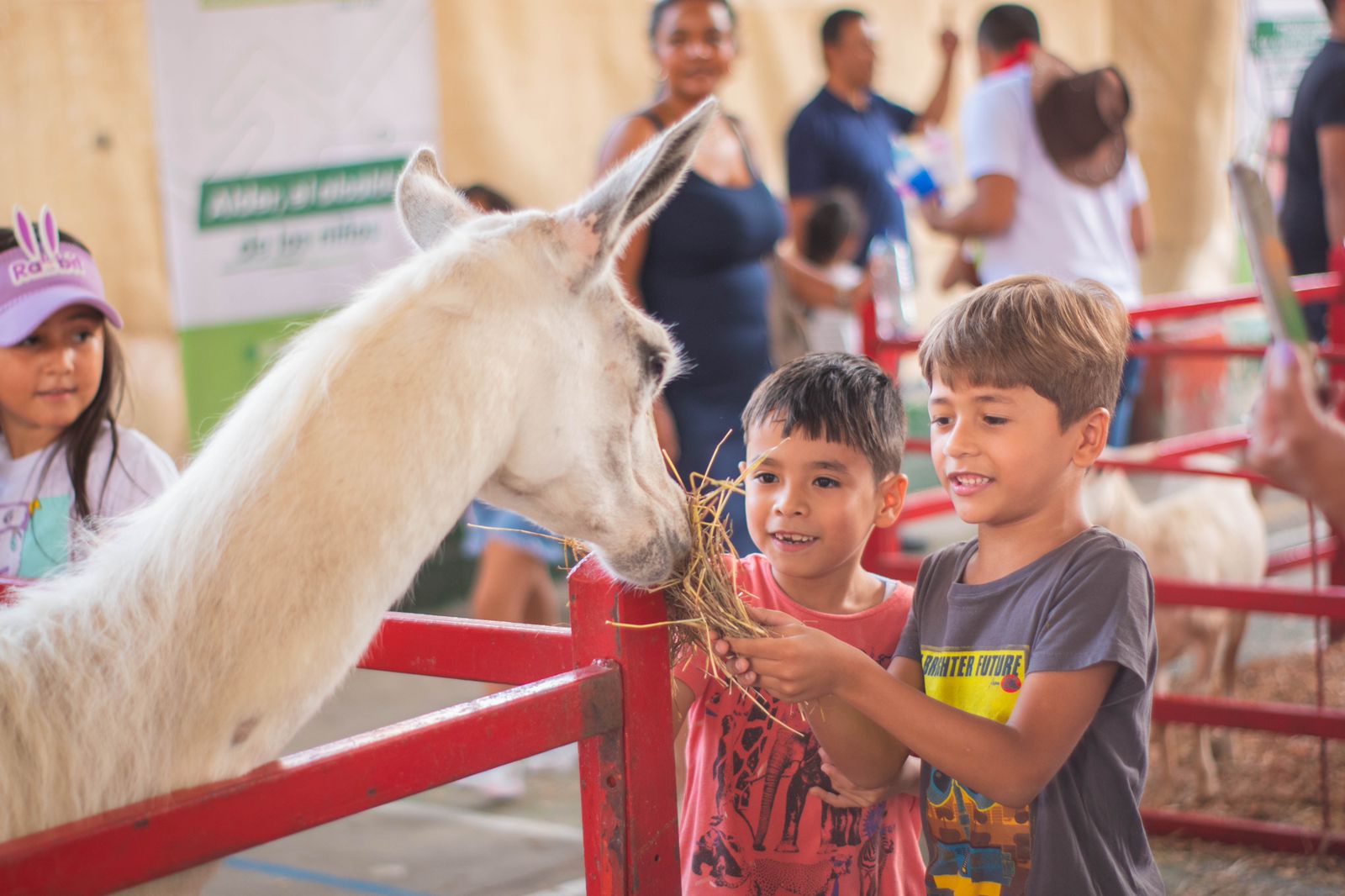 Más de 5.000 niños y niñas disfrutaron de ‘Una Granja al Siguiente Nivel’ organizada por Alder Cruz en Sabaneta 3 WhatsApp Image 2023 10 10 at 10.30.49 1