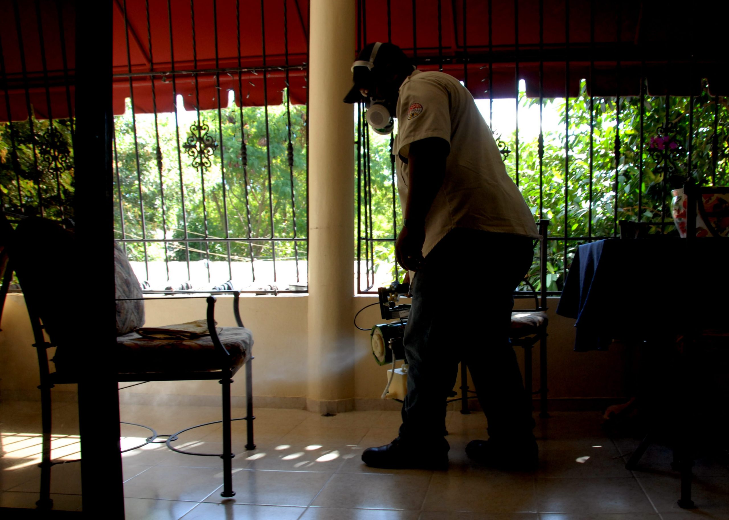 Fumigan unas 40.000 viviendas en República Dominicana en campaña para erradicar el dengue