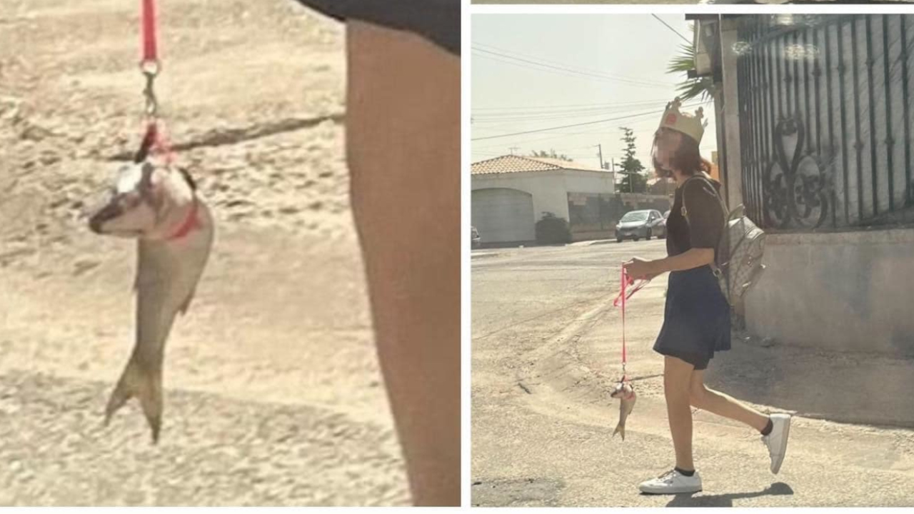 Con correa y todo, mujer sacó de paseo a su pescado