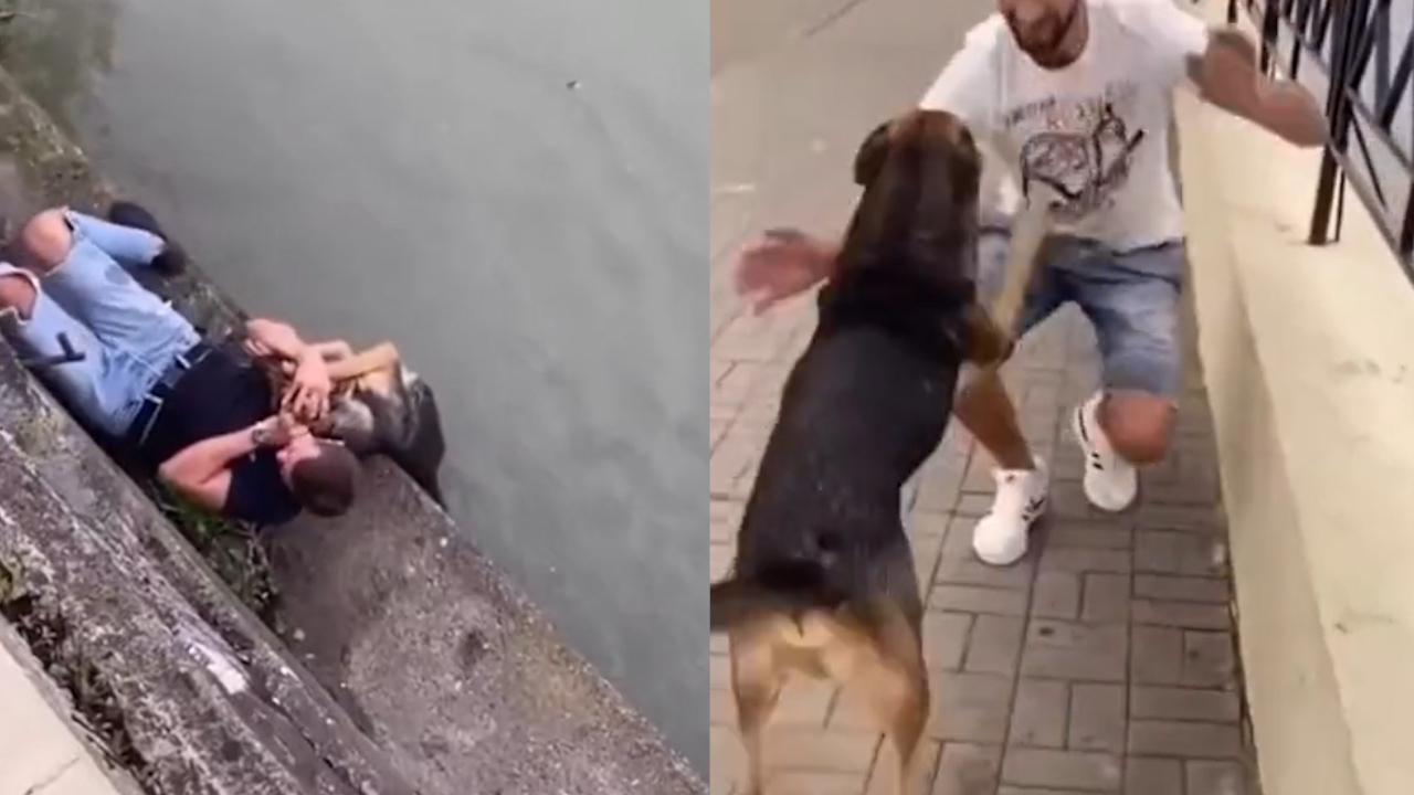 VIDEO.Hombre rescato a un perrito que se fue al rio y el animalito lo 'abrazó'