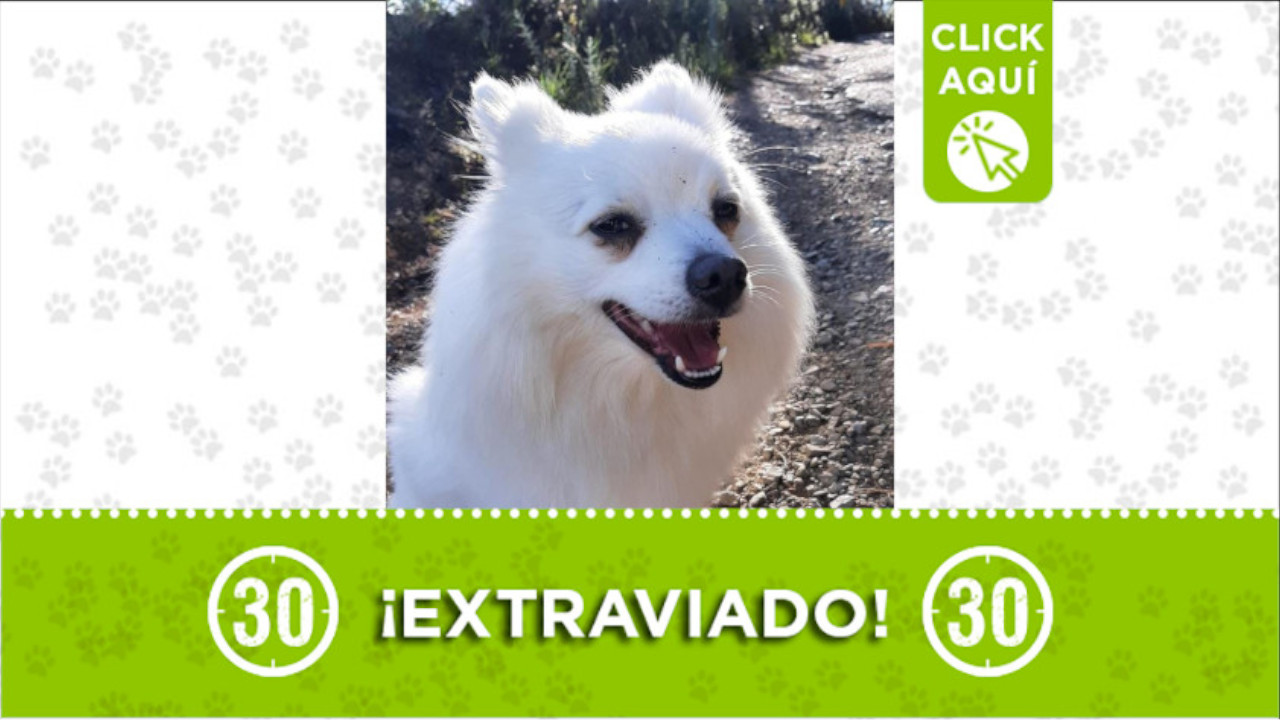 Sam se perdió en la vereda Barro Blanco