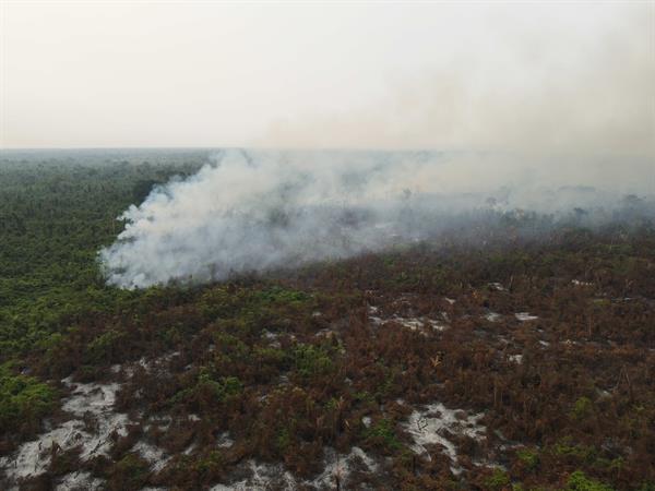 Bolivia pide ayuda a Brasil, Chile, Francia y Venezuela para contener los incendios forestales