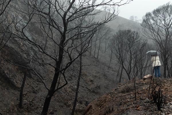 La UE perdió el equivalente a Córcega en 2022 por incendios forestales, el segundo peor año