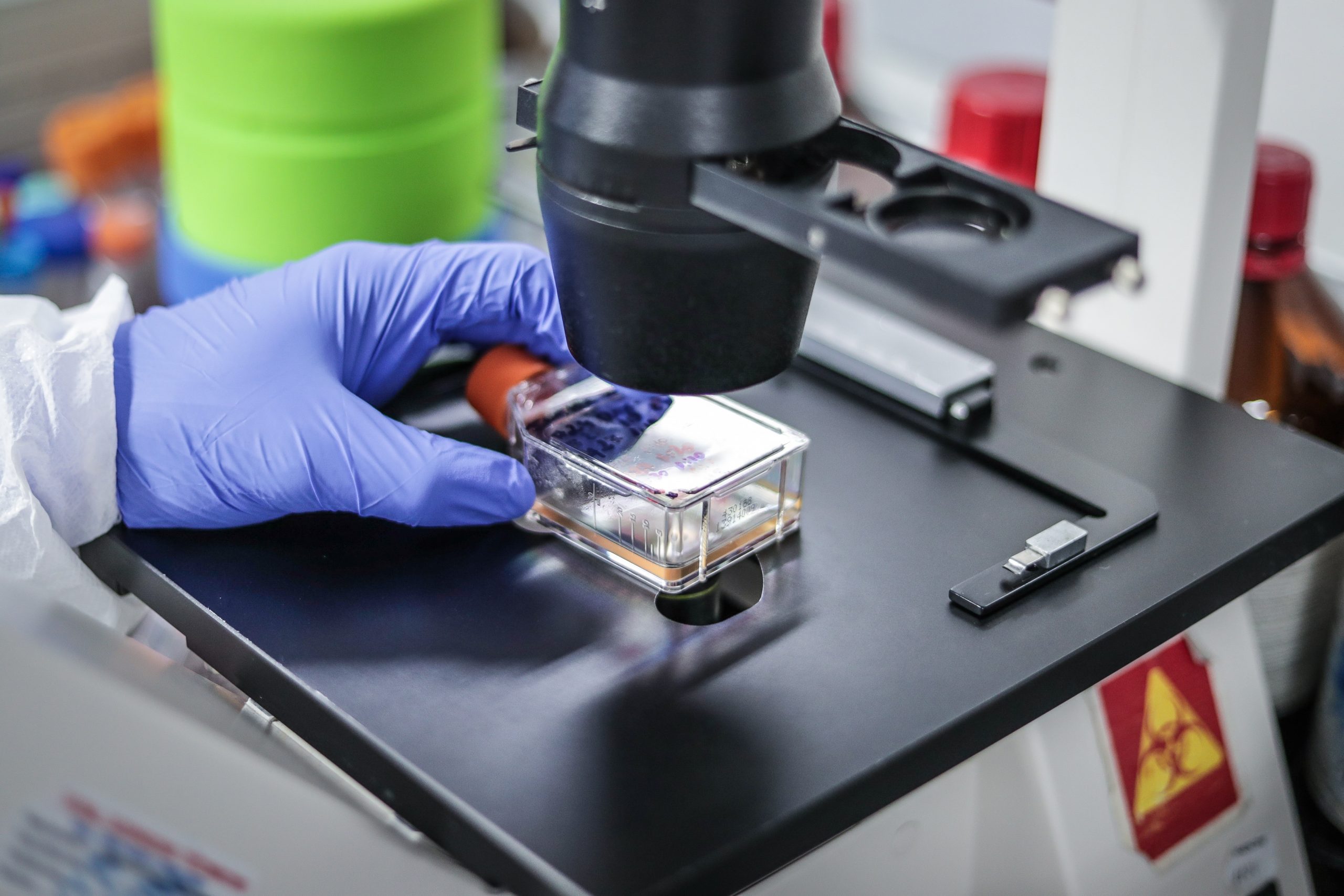 300 científicos abordan en Palma las últimas novedades sobre vacunas e inmunización