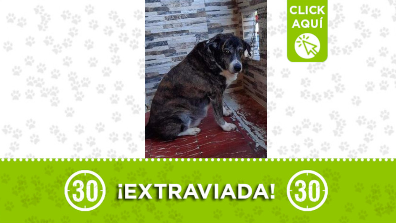 Dulce se perdió en el barrio Andalucía La Francia