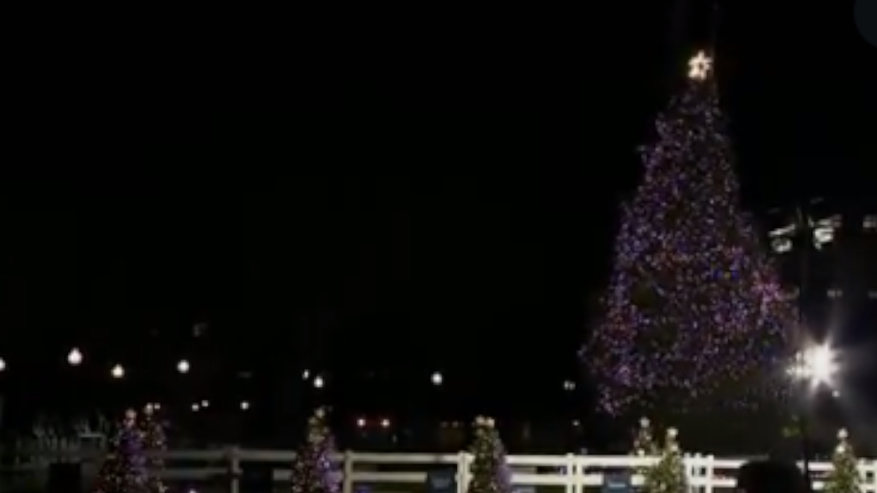 El árbol de Navidad de la Casa Blanca se cayó