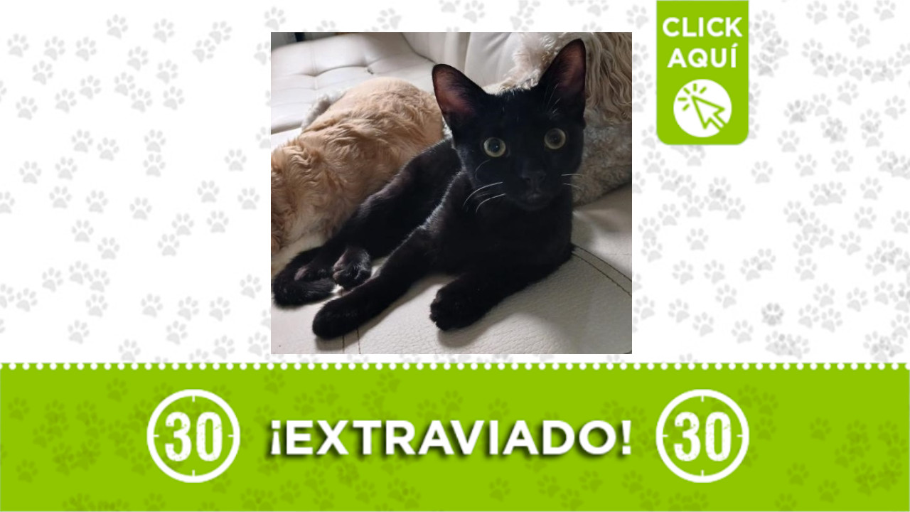 ‘Salem’ se perdió en Calatrava en itagüí