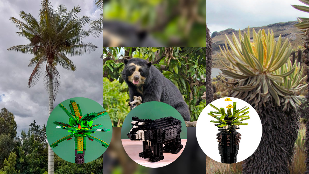 Colombia es "Flora y Fauna" para armar y amar