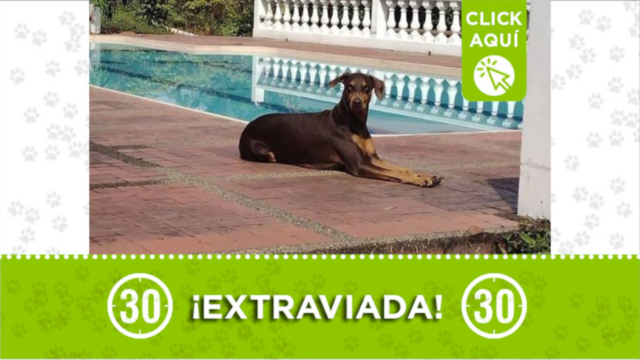 Martina se perdió en el corregimiento de Santa Elena