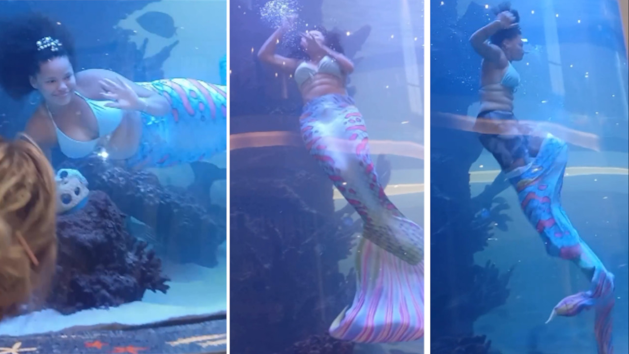 Mujer se llevó gran susto dentro de un pecera de centro comercial