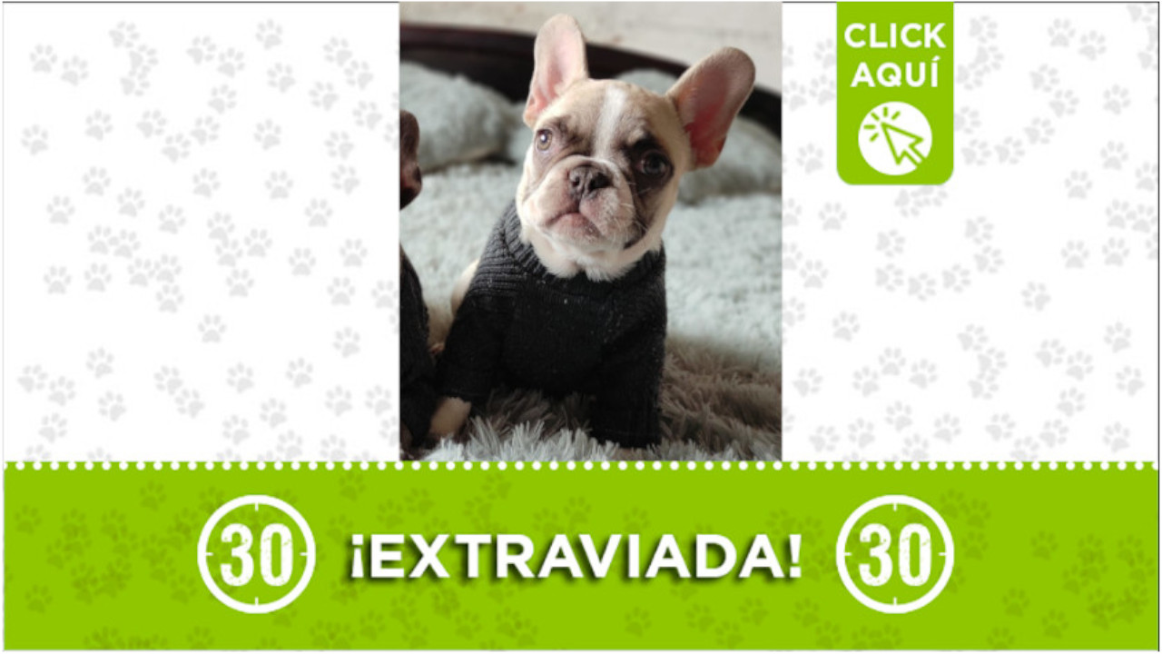 "Rodxy" se perdió en la vereda Guayaquil