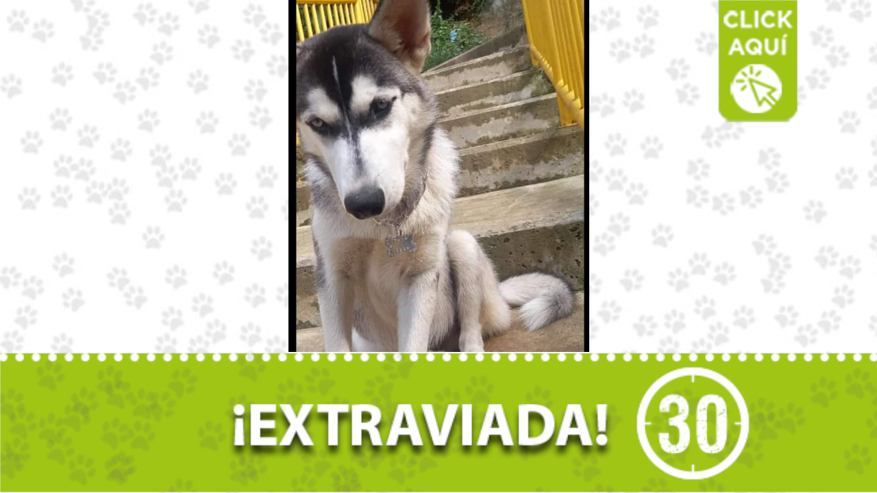 “Kira” se perdió en Manrique, Santa Cecilia