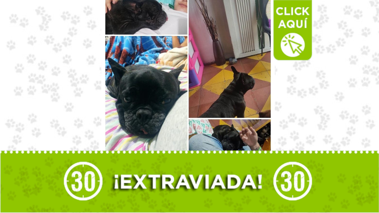 ‘Matilde’ se extravió en el barrio Villatina