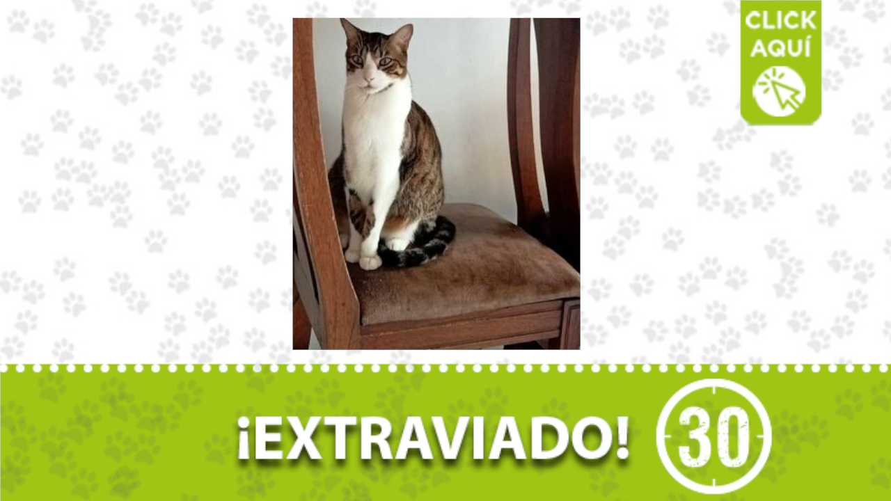 A Polito lo buscan en en el barrio Bariloche de Itagüí