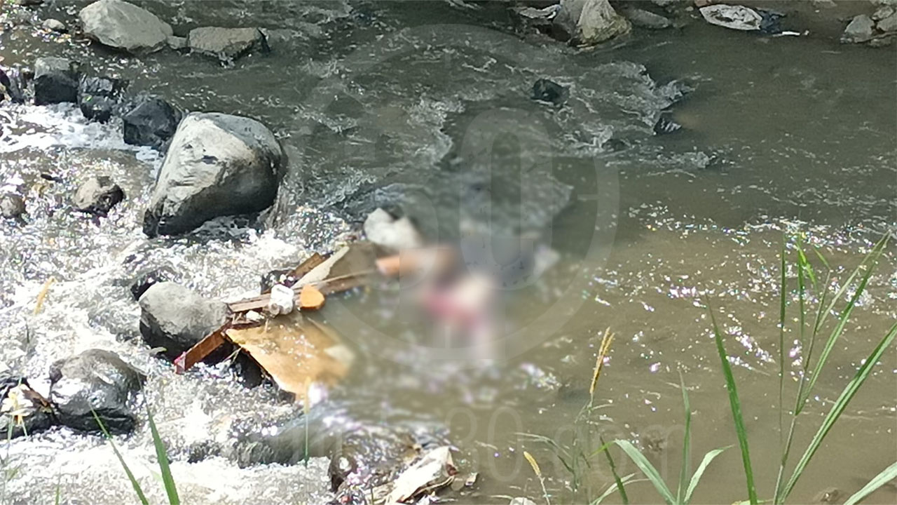 FOTOS Y VIDEO. Encuentran cuerpo en quebrada La Iguana a la altura de Blanquizal: "le sacaron hasta los ojos" 3 5 6