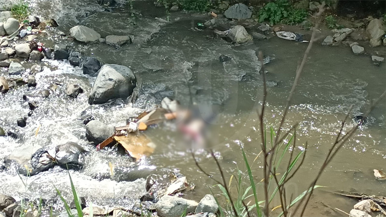 FOTOS Y VIDEO. Encuentran cuerpo en quebrada La Iguana a la altura de Blanquizal: "le sacaron hasta los ojos" 4 6 7