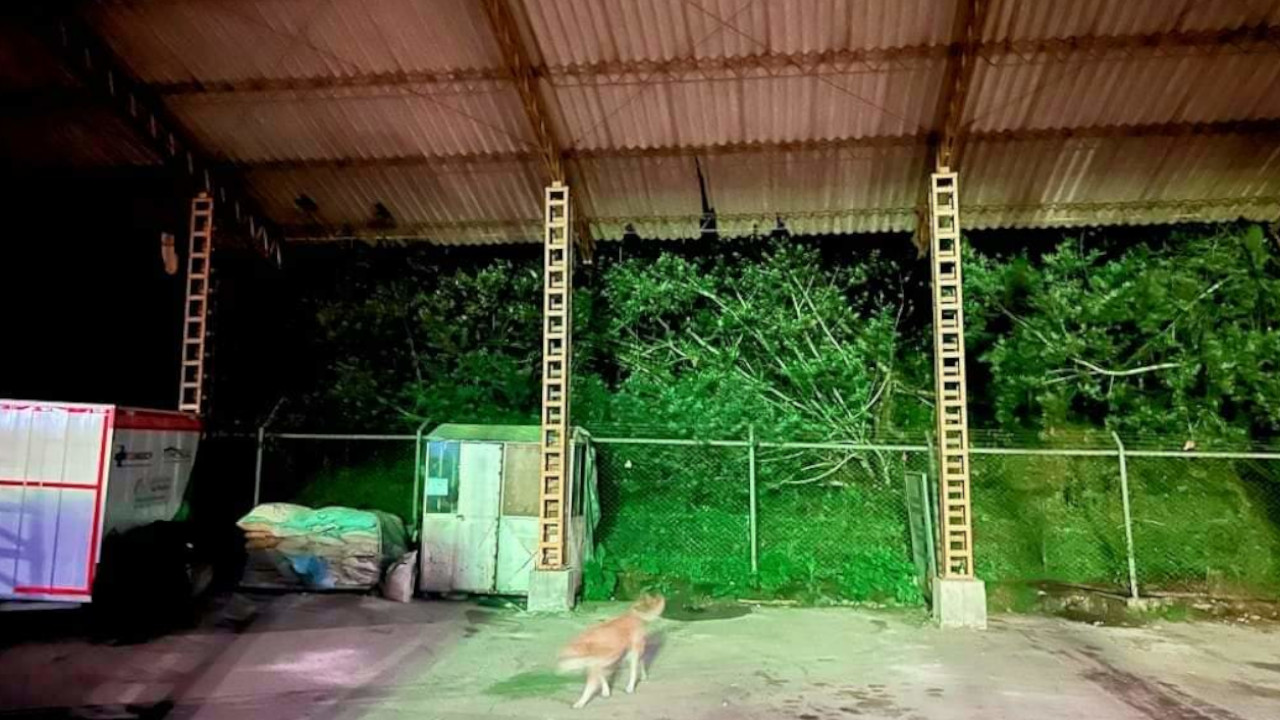 A $100 millones se eleva recompensa por responsables de acto terrorista en la vía al Llano1