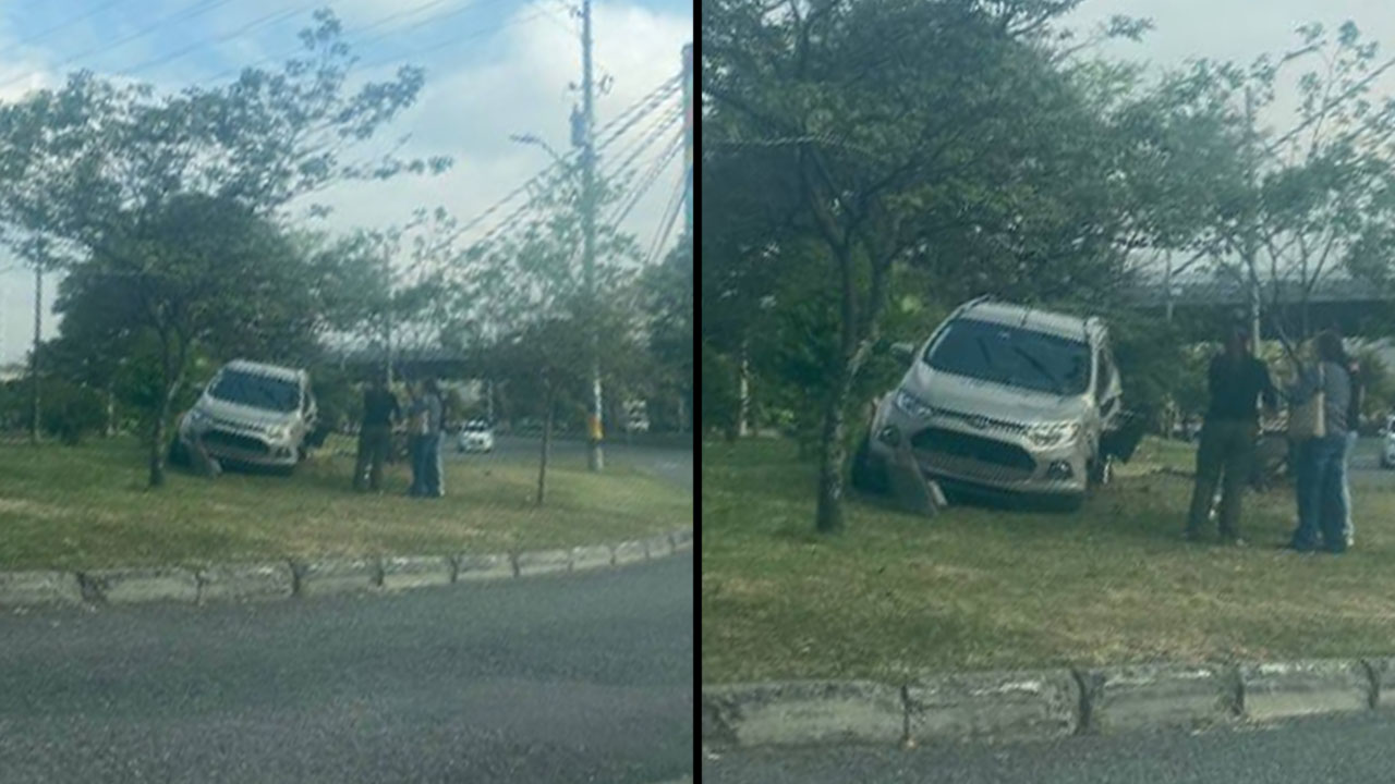 En el frente destruido, así quedó el carro que se montó en una manga de los alrededores de la 4 Sur